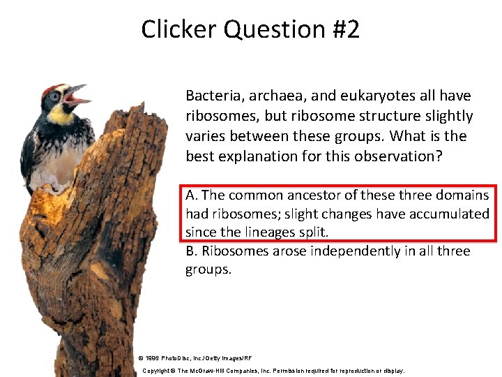 Clicker Question #2 Bacteria, archaea, and eukaryotes all have ribosomes, but ribosome structure slightly