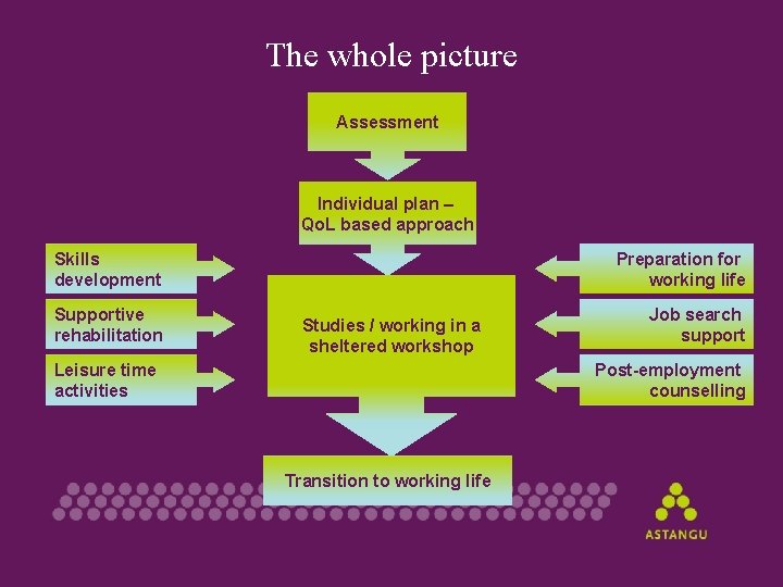 The whole picture Assessment Individual plan – Qo. L based approach Skills development Supportive