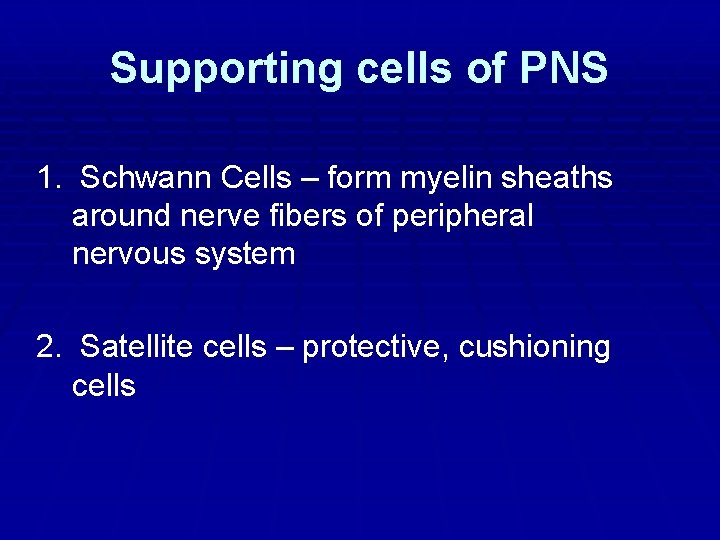 Supporting cells of PNS 1. Schwann Cells – form myelin sheaths around nerve fibers