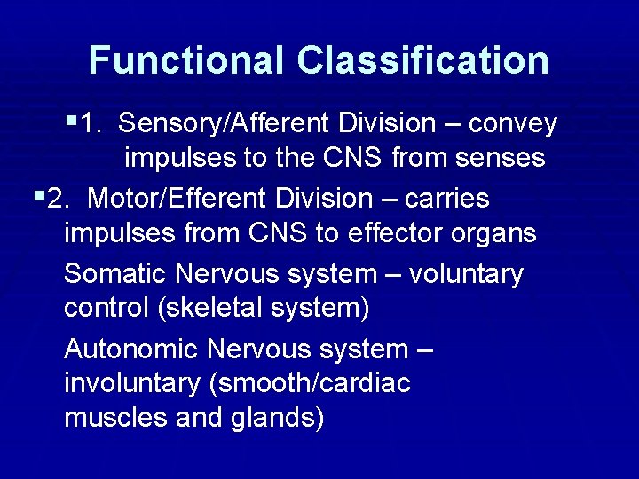 Functional Classification 1. Sensory/Afferent Division – convey impulses to the CNS from senses 2.