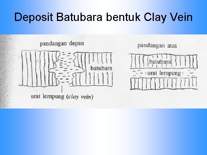 Deposit Batubara bentuk Clay Vein 