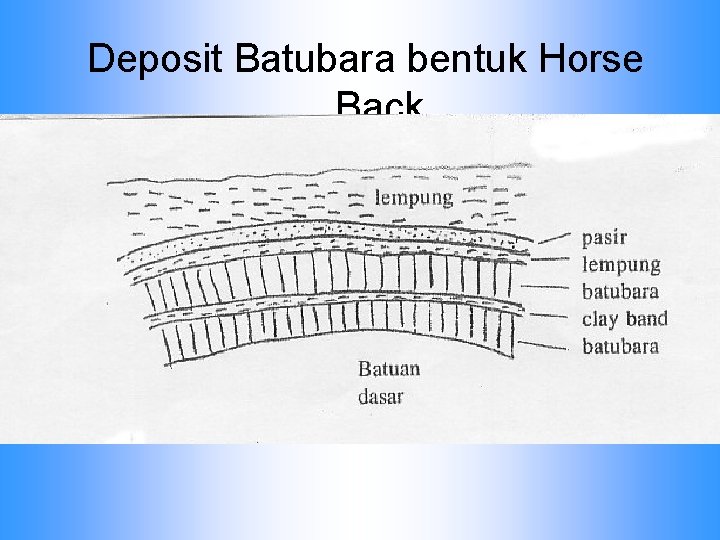 Deposit Batubara bentuk Horse Back 