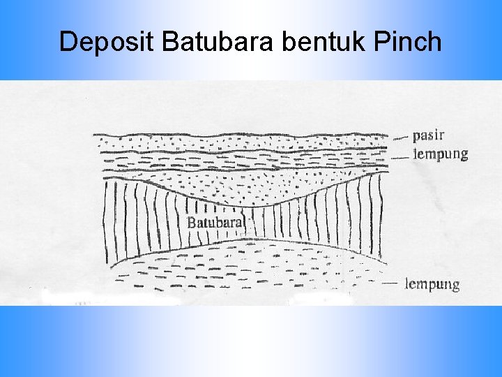 Deposit Batubara bentuk Pinch 