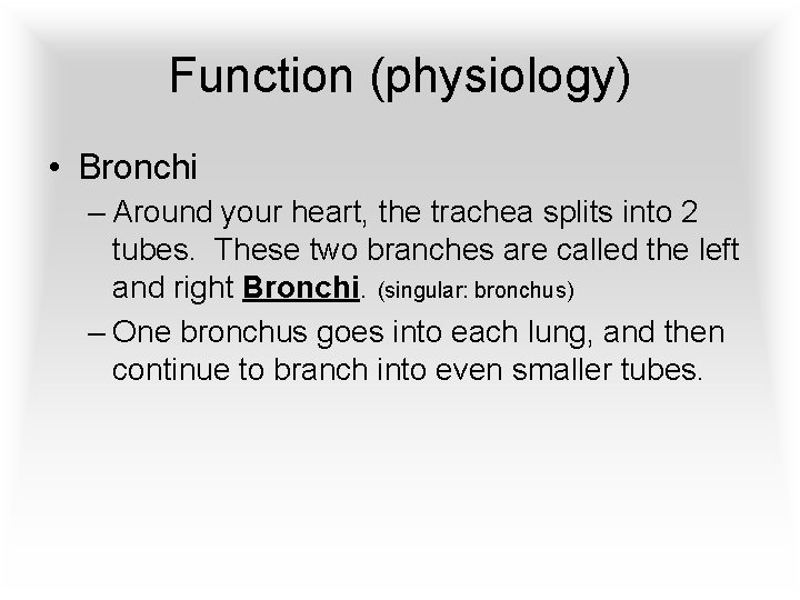 Function (physiology) • Bronchi – Around your heart, the trachea splits into 2 tubes.