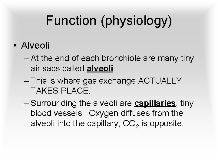 Function (physiology) • Alveoli – At the end of each bronchiole are many tiny