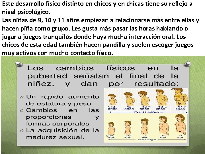Este desarrollo físico distinto en chicos y en chicas tiene su reflejo a nivel