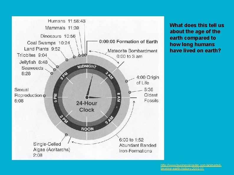 http: //www. businessinsider. com/animated-timeline-earth-history-2015 -11 What does this tell us about the age of