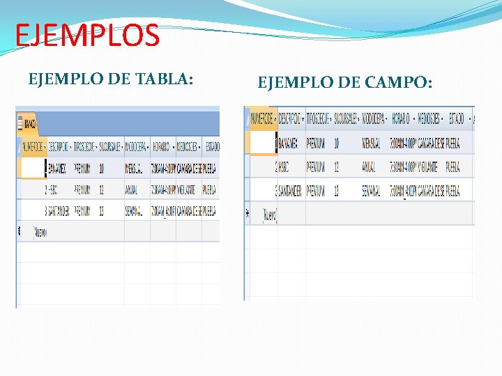 EJEMPLOS EJEMPLO DE TABLA: EJEMPLO DE CAMPO: 