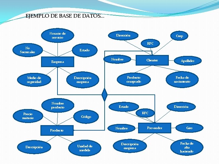 EJEMPLO DE BASE DE DATOS… Horario de servicio Dirección Curp RFC No Sucursales Estado