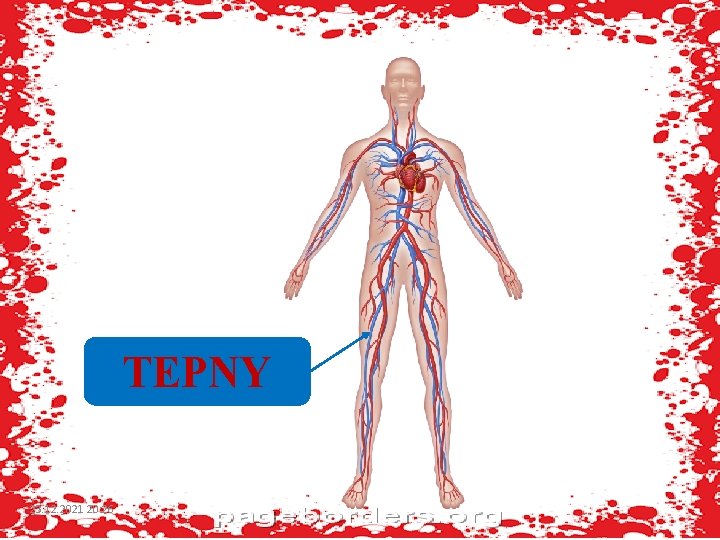 TEPNY 23. 12. 2021 20: 26 