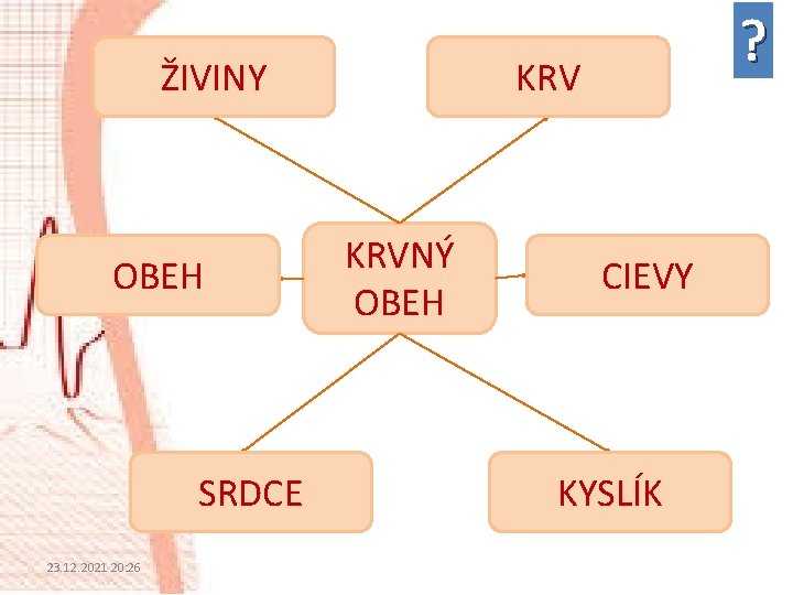 ŽIVINY OBEH SRDCE 23. 12. 2021 20: 26 ? KRVNÝ OBEH CIEVY KYSLÍK 