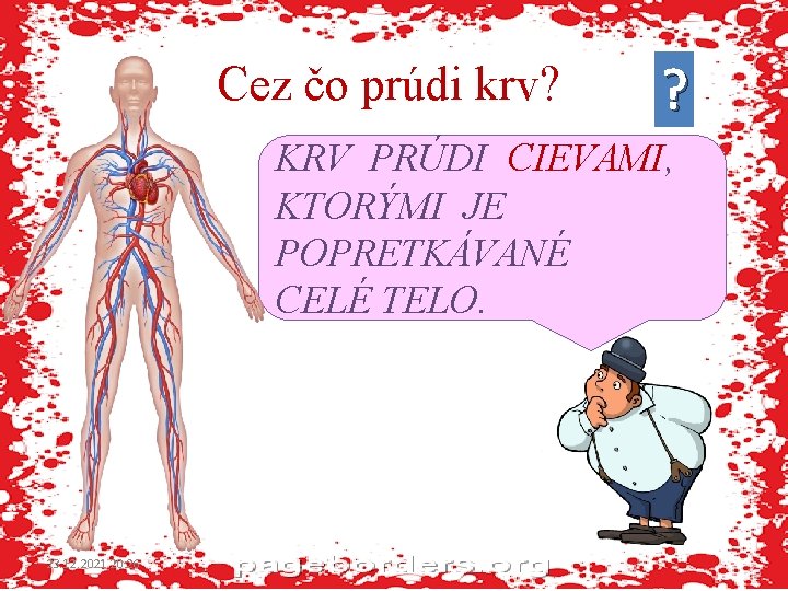 Cez čo prúdi krv? ? KRV PRÚDI CIEVAMI, KTORÝMI JE POPRETKÁVANÉ CELÉ TELO. 23.