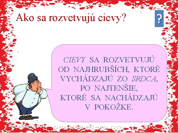 Ako sa rozvetvujú cievy? ? CIEVY SA ROZVETVUJÚ OD NAJHRUBŠÍCH, KTORÉ VYCHÁDZAJÚ ZO SRDCA,