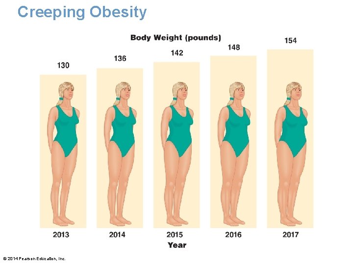 Creeping Obesity © 2014 Pearson Education, Inc. 