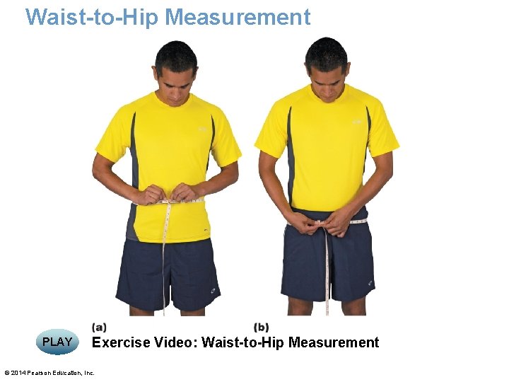 Waist-to-Hip Measurement PLAY Exercise Video: Waist-to-Hip Measurement © 2014 Pearson Education, Inc. 