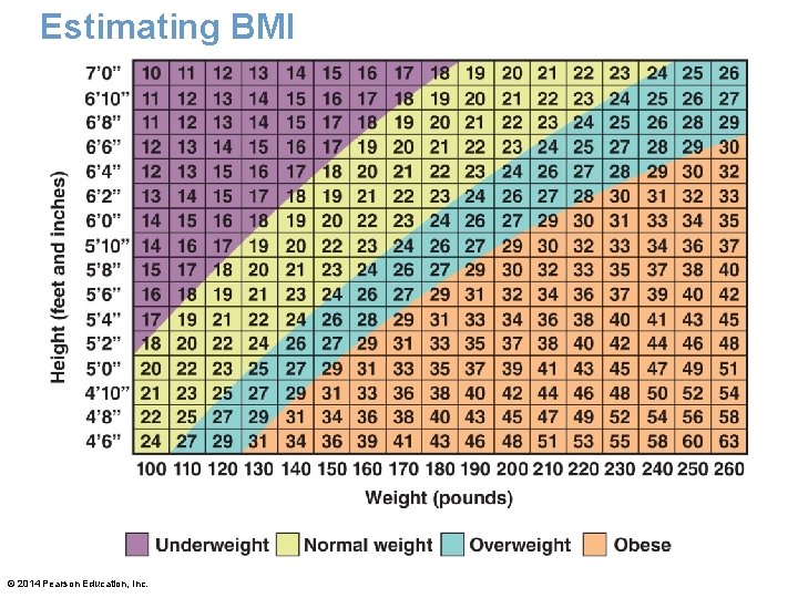 Estimating BMI © 2014 Pearson Education, Inc. 