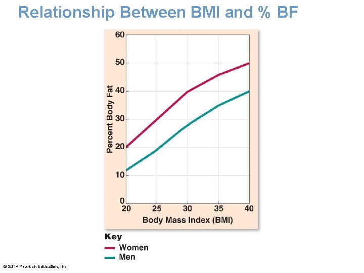 Relationship Between BMI and % BF © 2014 Pearson Education, Inc. 