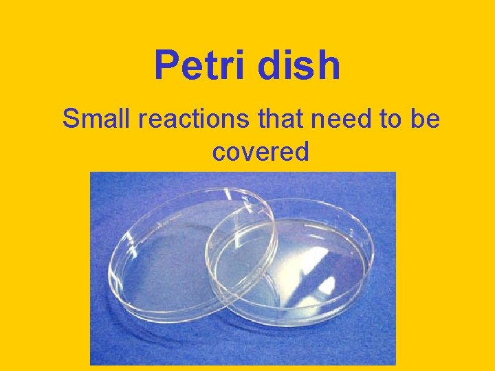 Petri dish Small reactions that need to be covered 
