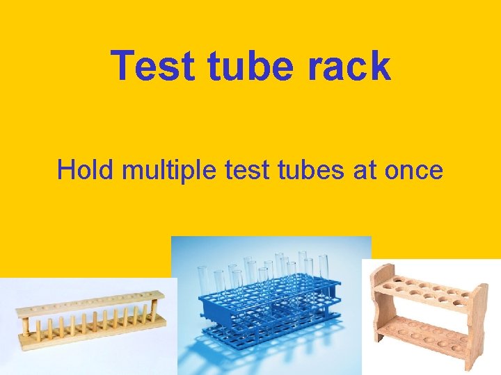 Test tube rack Hold multiple test tubes at once 