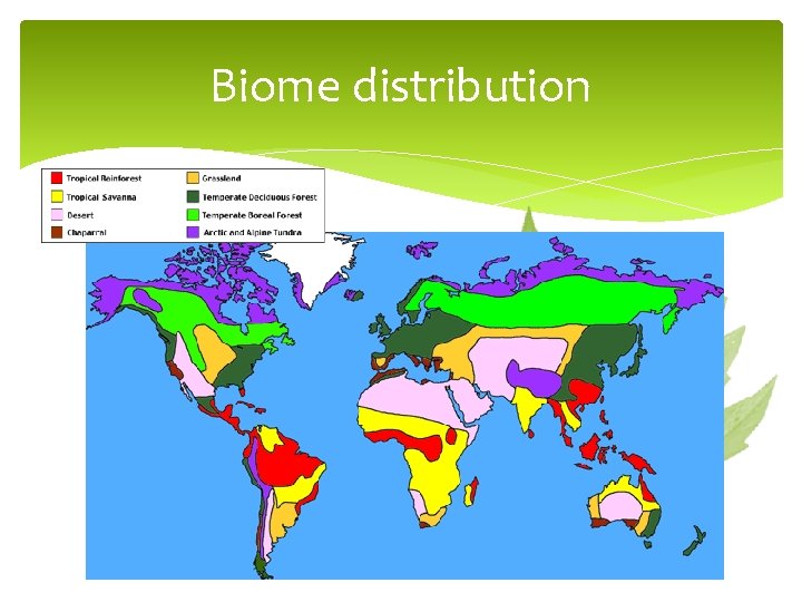 Biome distribution 