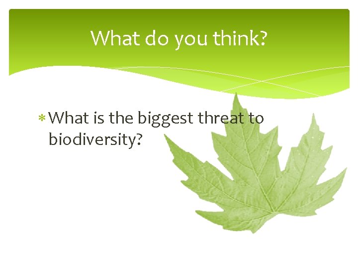 What do you think? What is the biggest threat to biodiversity? 