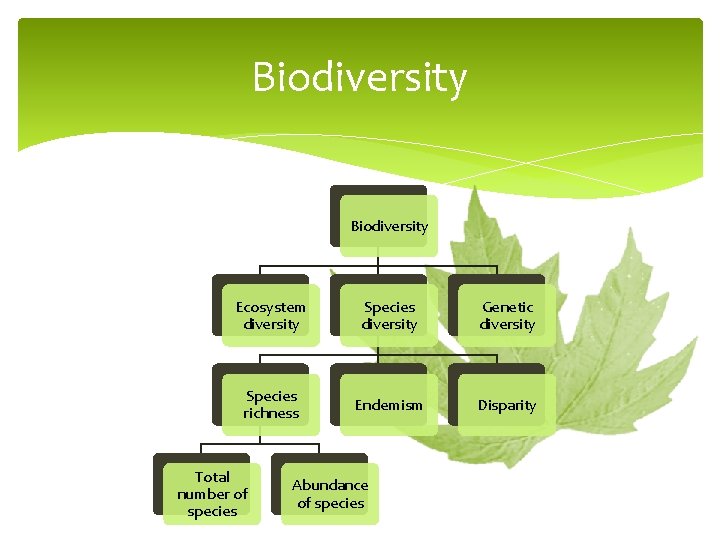 Biodiversity Ecosystem diversity Species diversity Genetic diversity Species richness Endemism Disparity Total number of