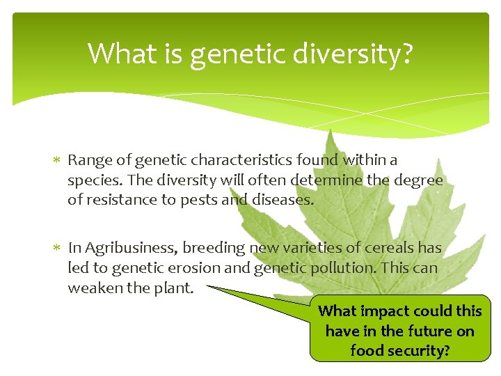 What is genetic diversity? Range of genetic characteristics found within a species. The diversity