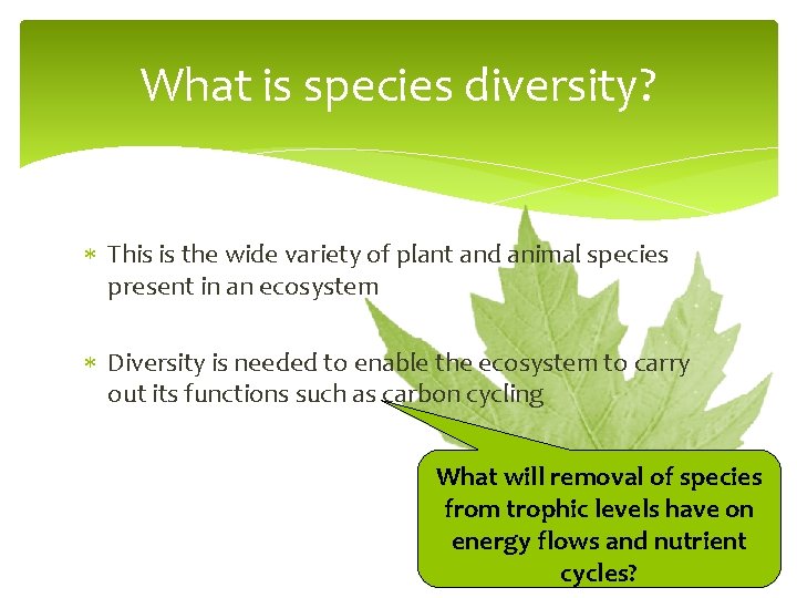 What is species diversity? This is the wide variety of plant and animal species
