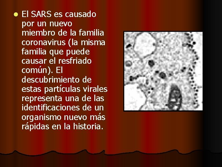 l El SARS es causado por un nuevo miembro de la familia coronavirus (la