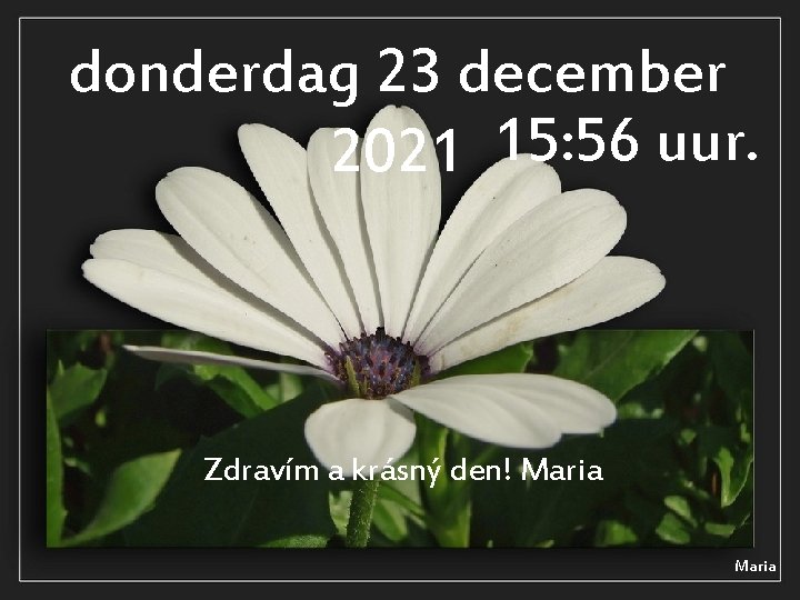 donderdag 23 december 2021 15: 56 uur. Zdravím a krásný den! Maria 