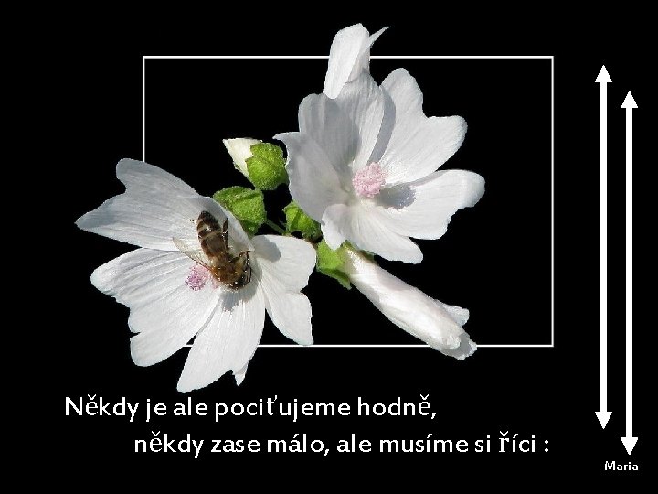 Někdy je ale pociťujeme hodně, někdy zase málo, ale musíme si říci : Maria