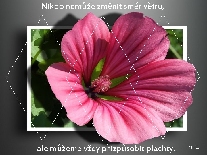 Nikdo nemůže změnit směr větru, ale můžeme vždy přizpůsobit plachty. Maria 