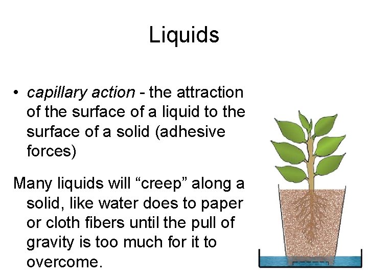 Liquids • capillary action - the attraction of the surface of a liquid to