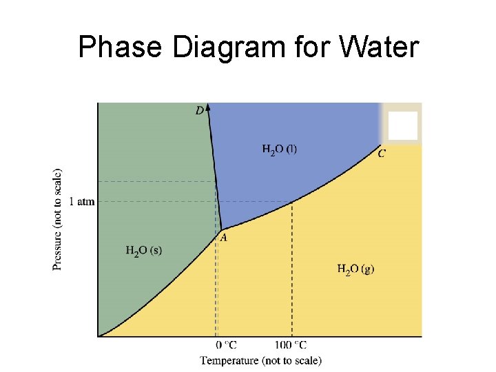 Phase Diagram for Water 