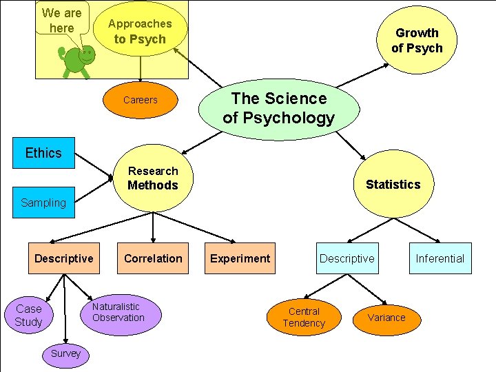 We are here Approaches Growth of Psych to Psych Careers The Science of Psychology