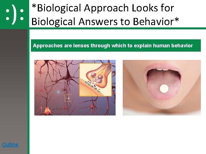 *Biological Approach Looks for Biological Answers to Behavior* Approaches are lenses through which to