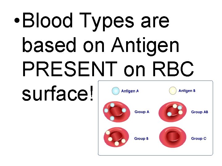  • Blood Types are based on Antigen PRESENT on RBC surface! 