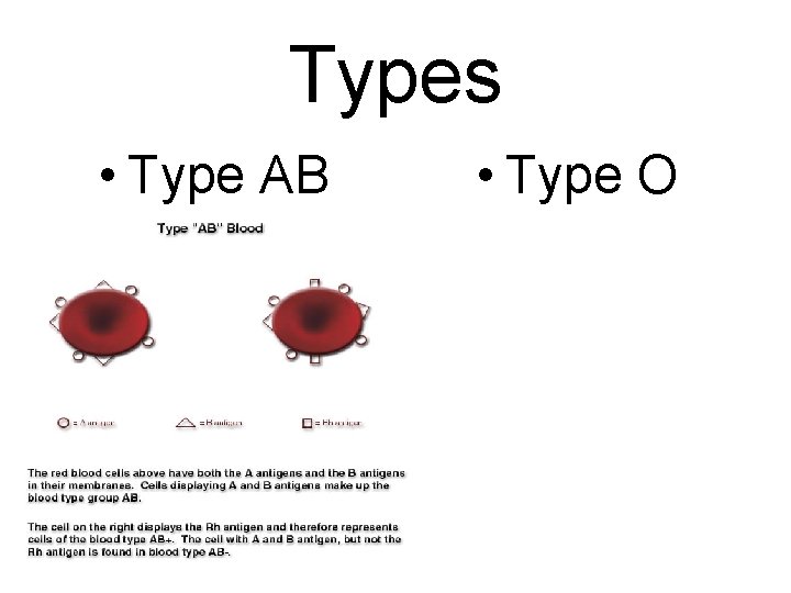 Types • Type AB • Type O 