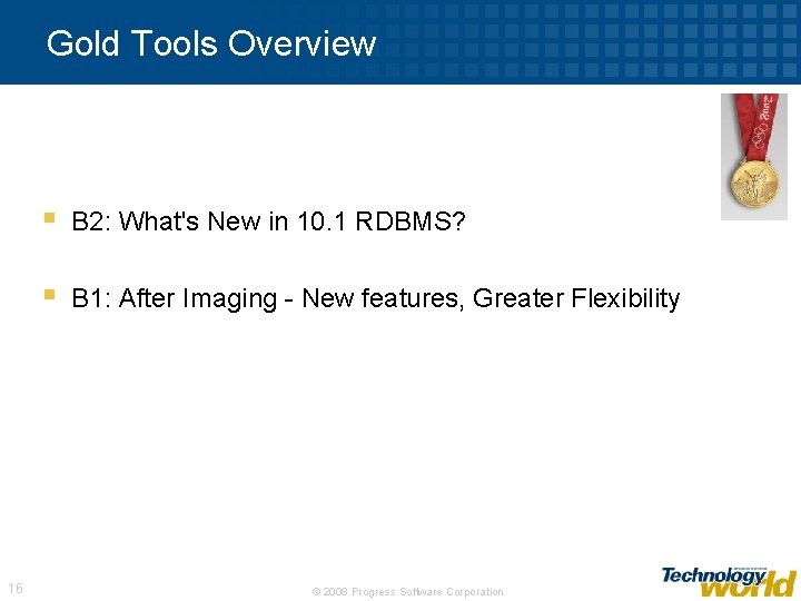 Gold Tools Overview 16 § B 2: What's New in 10. 1 RDBMS? §
