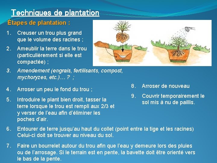 Techniques de plantation Étapes de plantation : 1. Creuser un trou plus grand que