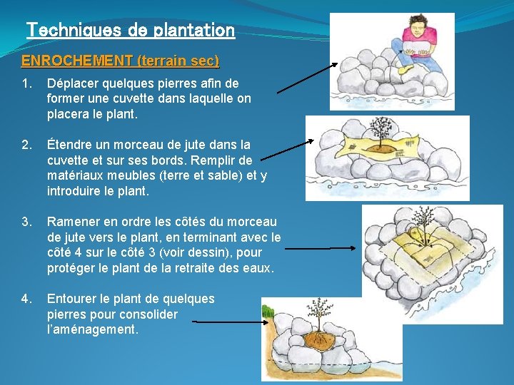 Techniques de plantation ENROCHEMENT (terrain sec) 1. Déplacer quelques pierres afin de former une