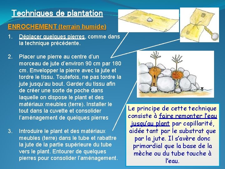 Techniques de plantation ENROCHEMENT (terrain humide) 1. Déplacer quelques pierres, comme dans la technique