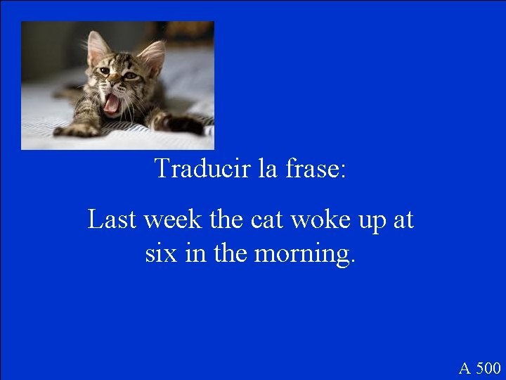 Traducir la frase: Last week the cat woke up at six in the morning.