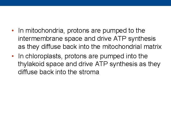  • In mitochondria, protons are pumped to the intermembrane space and drive ATP