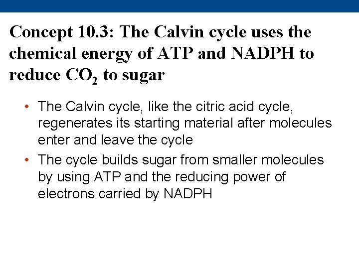 Concept 10. 3: The Calvin cycle uses the chemical energy of ATP and NADPH