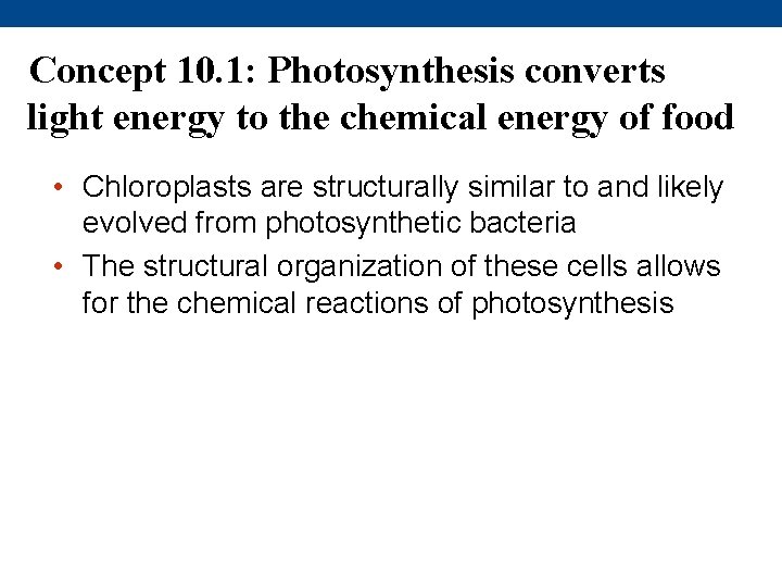 Concept 10. 1: Photosynthesis converts light energy to the chemical energy of food •