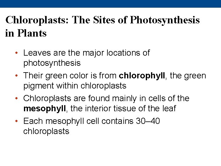 Chloroplasts: The Sites of Photosynthesis in Plants • Leaves are the major locations of