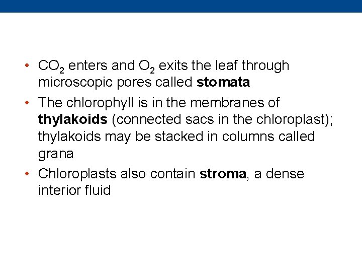 • CO 2 enters and O 2 exits the leaf through microscopic pores