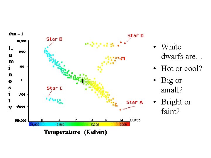 E • White dwarfs are… • Hot or cool? • Big or small? •