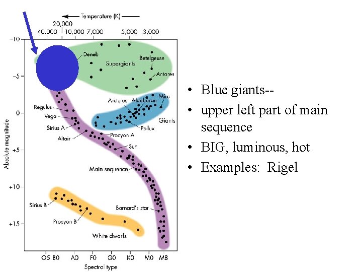  • Blue giants- • upper left part of main sequence • BIG, luminous,